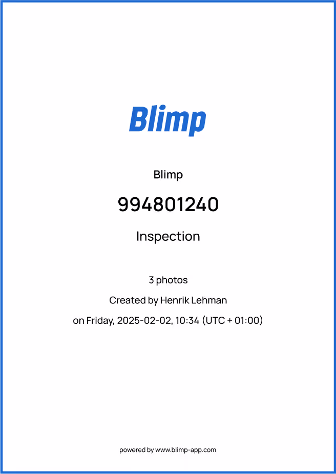 image of a report with Blimp´s logo and report details